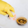 Regularly Cleaning Drains: Tips and Techniques for Preventive Maintenance