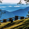 Discover the Best Things To Do In Blue Ridge Georgia